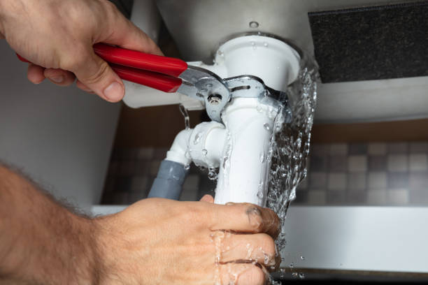 Best Carpet water damage restoration  in Livingston, TN