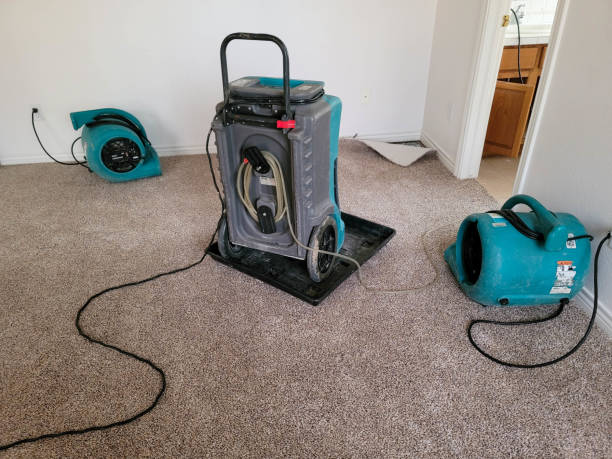 Best Water damage restoration near me  in Livingston, TN