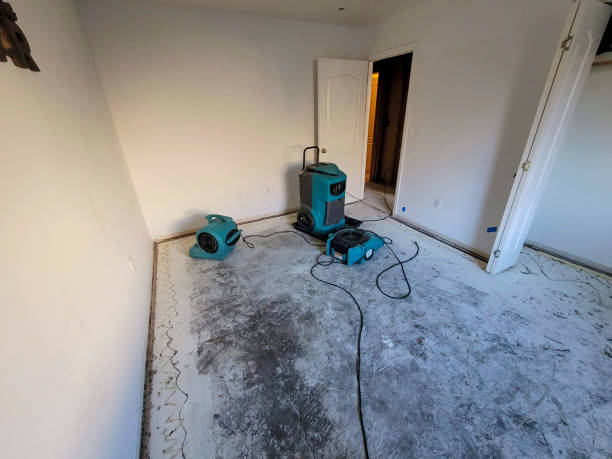 Best Water damage cleanup near me  in Livingston, TN