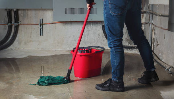 Best Commercial water damage restoration  in Livingston, TN