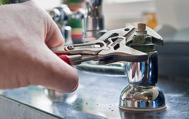 Best Mold removal after water damage  in Livingston, TN