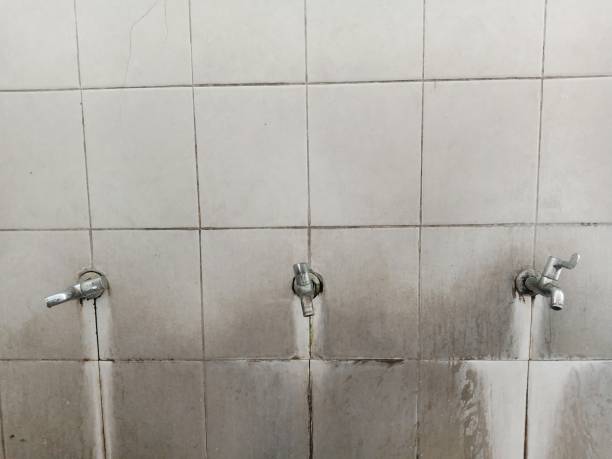 Best Flood damage cleanup  in Livingston, TN