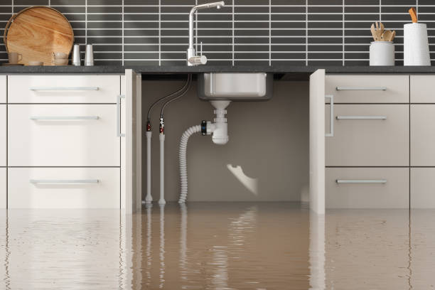  Livingston, TN Water damage restoration Pros