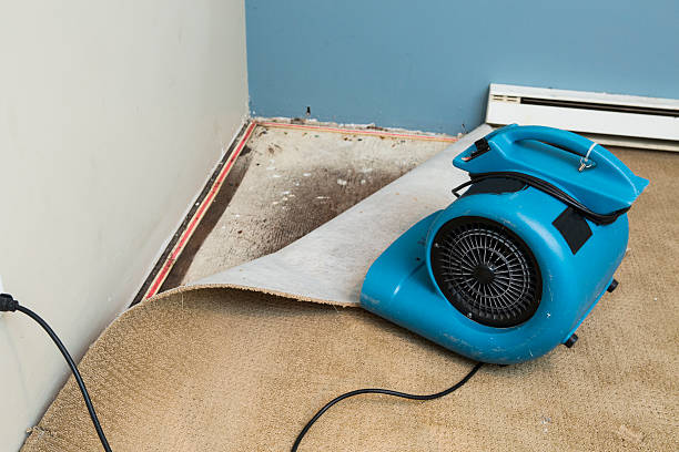 Best Sewage cleanup and water damage restoration  in Livingston, TN